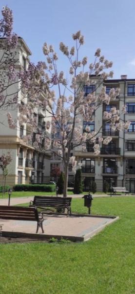 Aivazovski park - Pomorie SP apartments